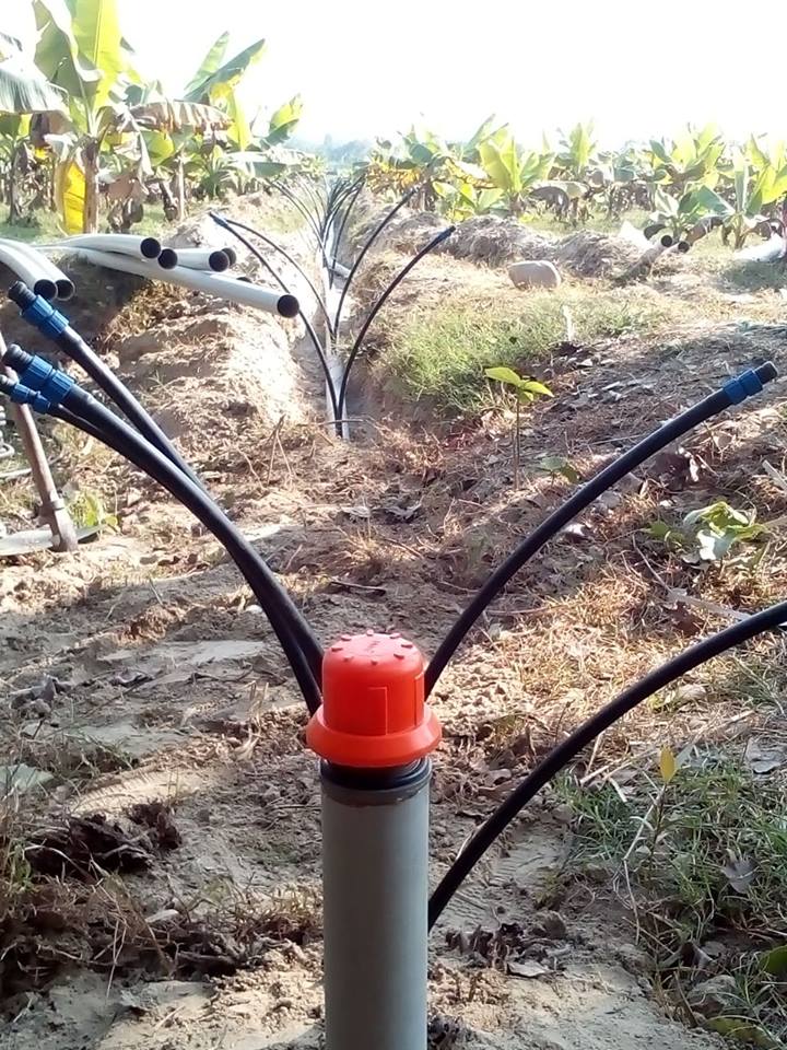 Drip irrigations